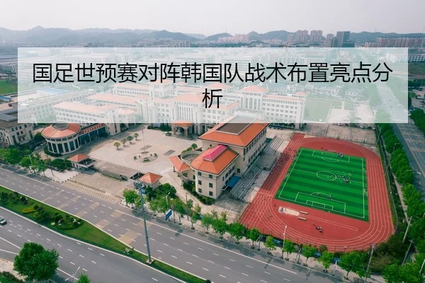 国足世预赛对阵韩国队战术布置亮点分析 | kaiyun